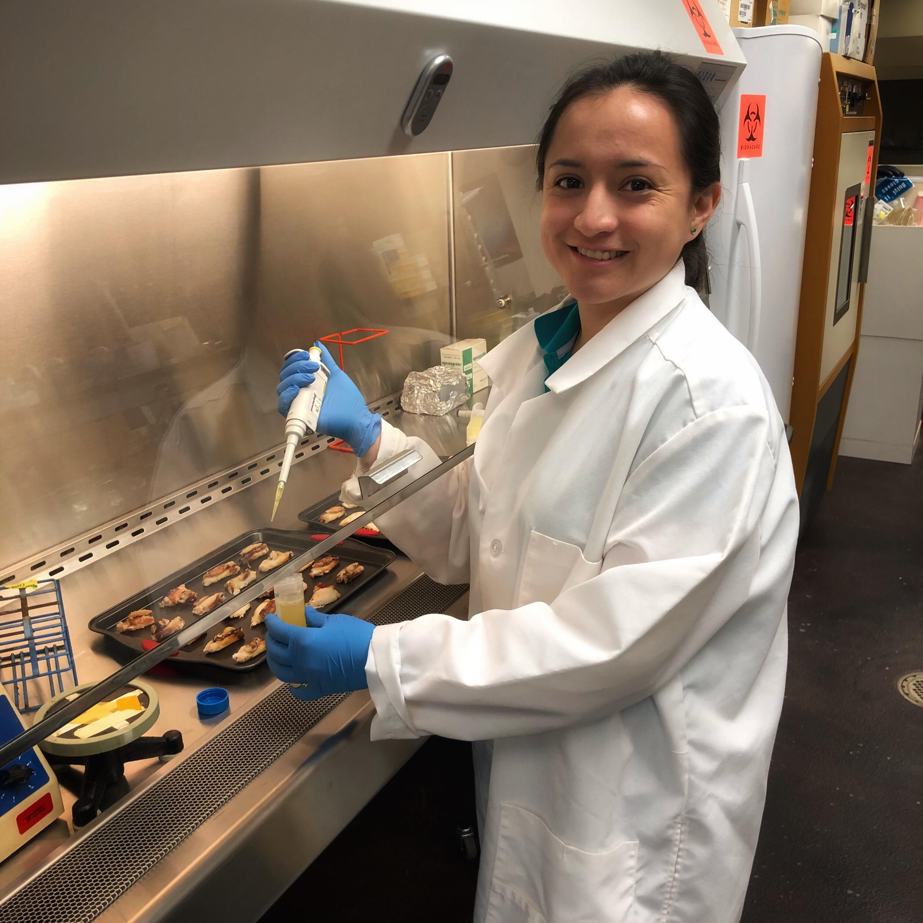 A Case for Chitosan: Can Crustacean Waste Be Used to Preserve Foods?